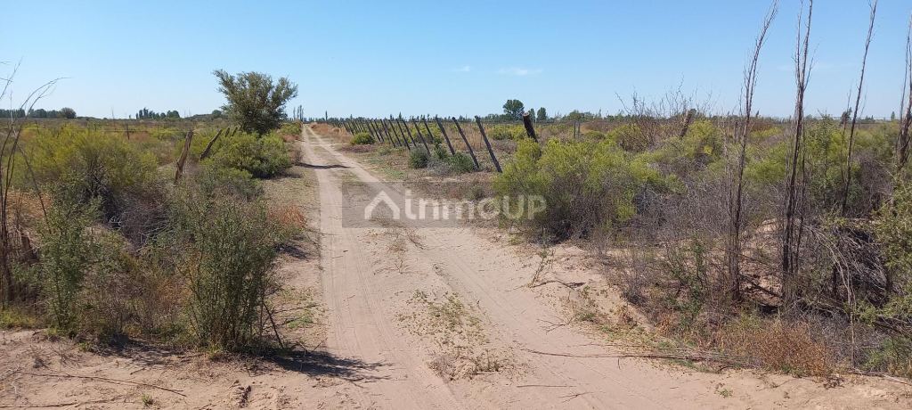 Finca en Venta en San Martin, Mendoza