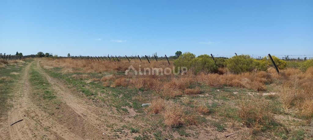 Finca en Venta en San Martin, Mendoza