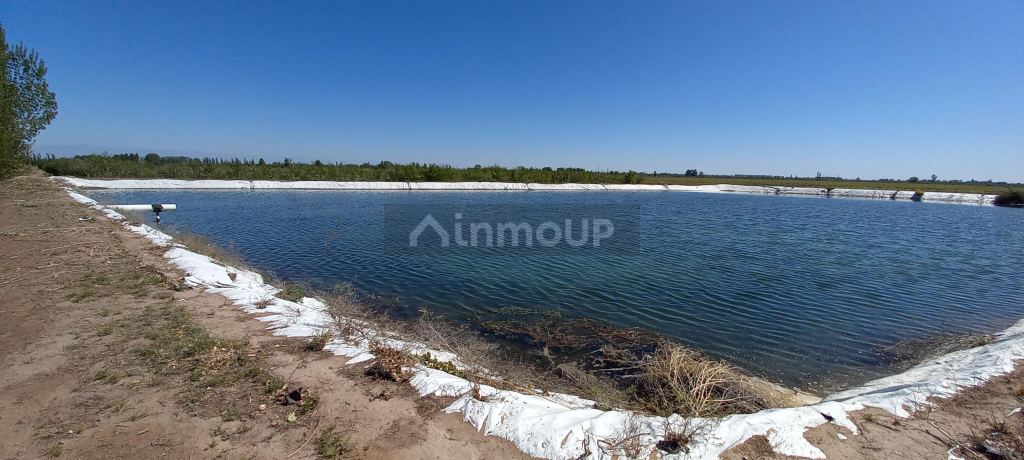 Finca en Venta en San Martin, Mendoza