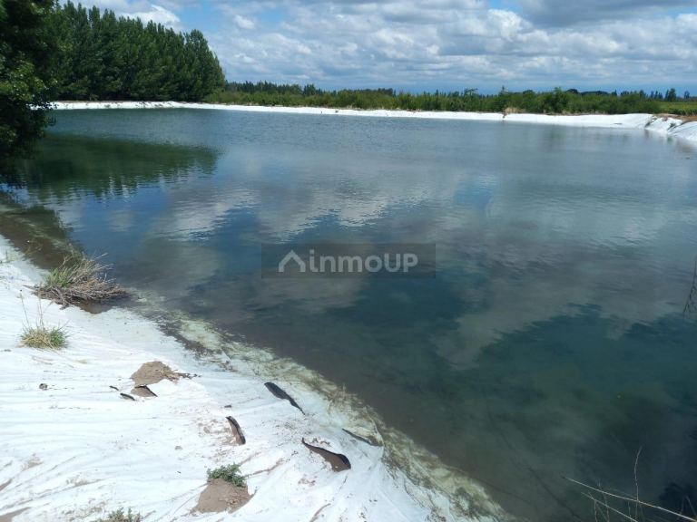 Finca en Venta en San Martin, Mendoza