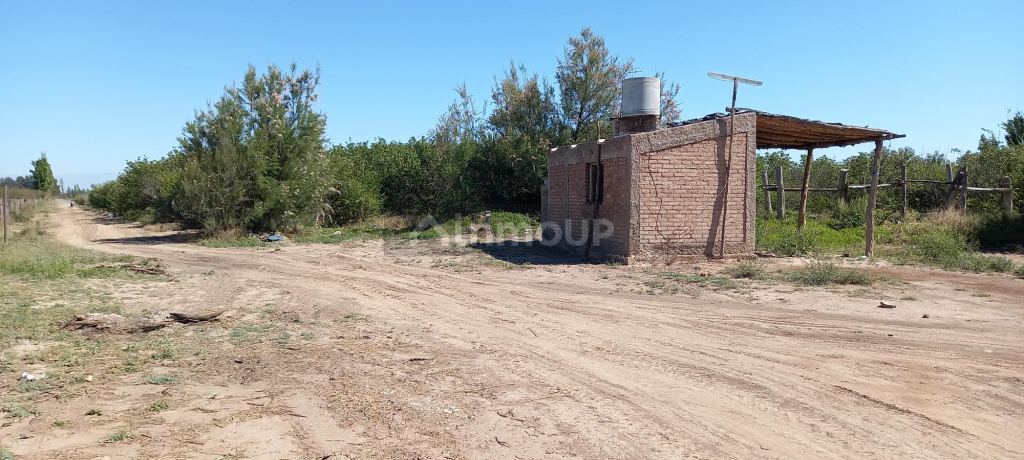 Finca en Venta en San Martin, Mendoza