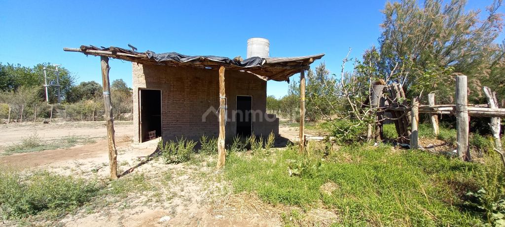 Finca en Venta en San Martin, Mendoza