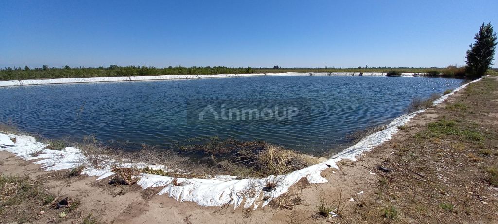 Finca en Venta en San Martin, Mendoza