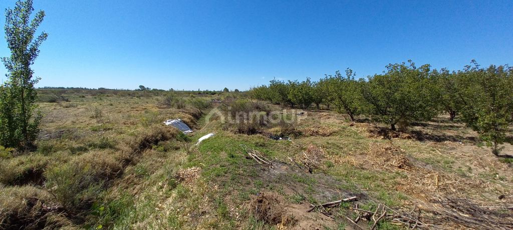 Finca en Venta en San Martin, Mendoza