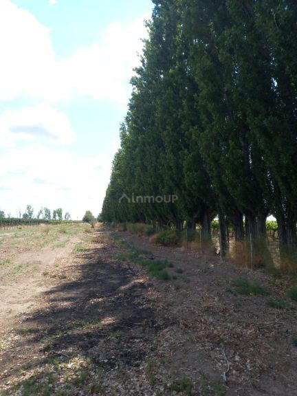 Finca en Venta en San Martin, Mendoza