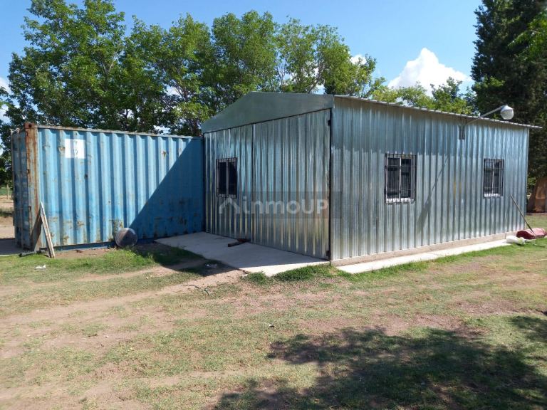 Finca en Venta en San Martin, Mendoza