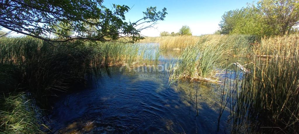 Finca en Venta en San Martin, Mendoza