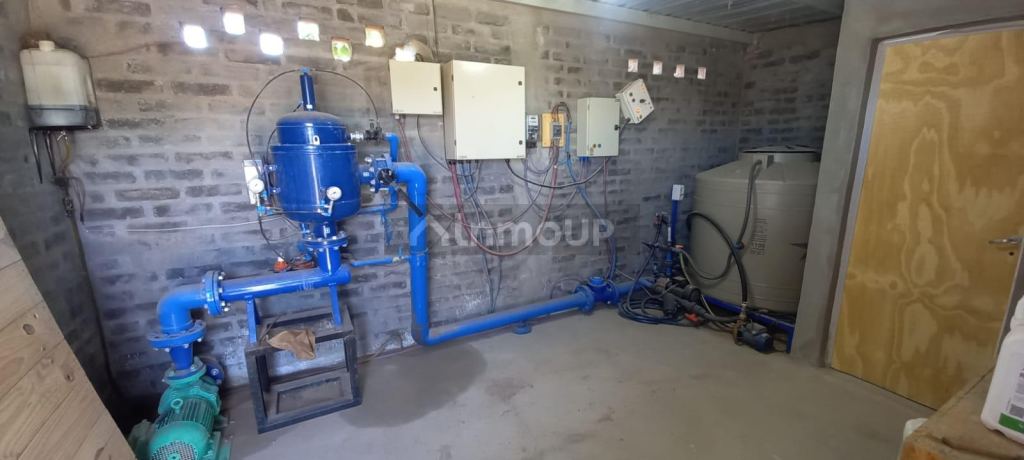 Finca en Venta en San Martin, Mendoza