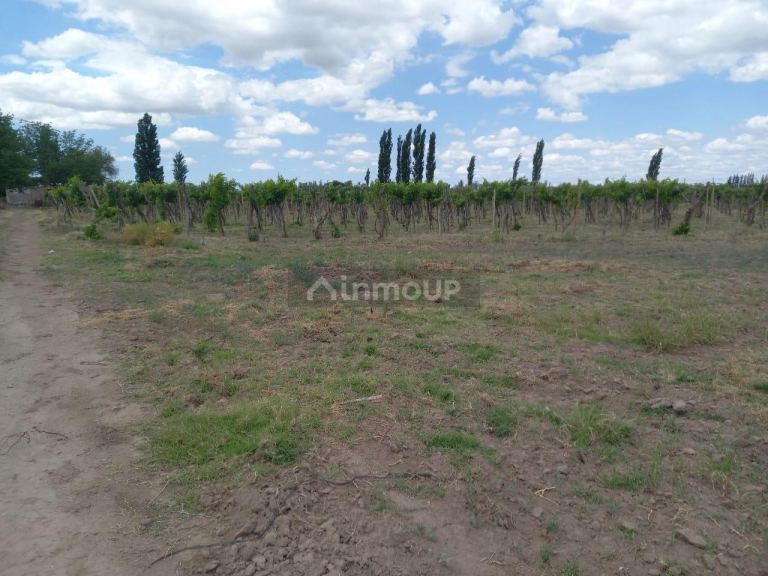 Finca en Venta en San Martin, Mendoza