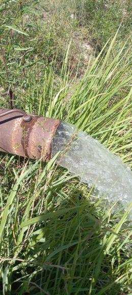 Finca en Venta en San Martin, Mendoza