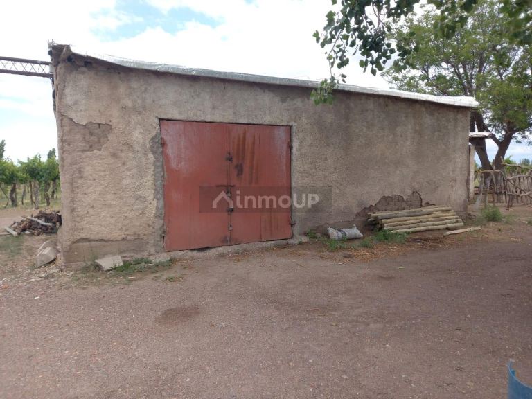 Finca en Venta en San Martin, Mendoza