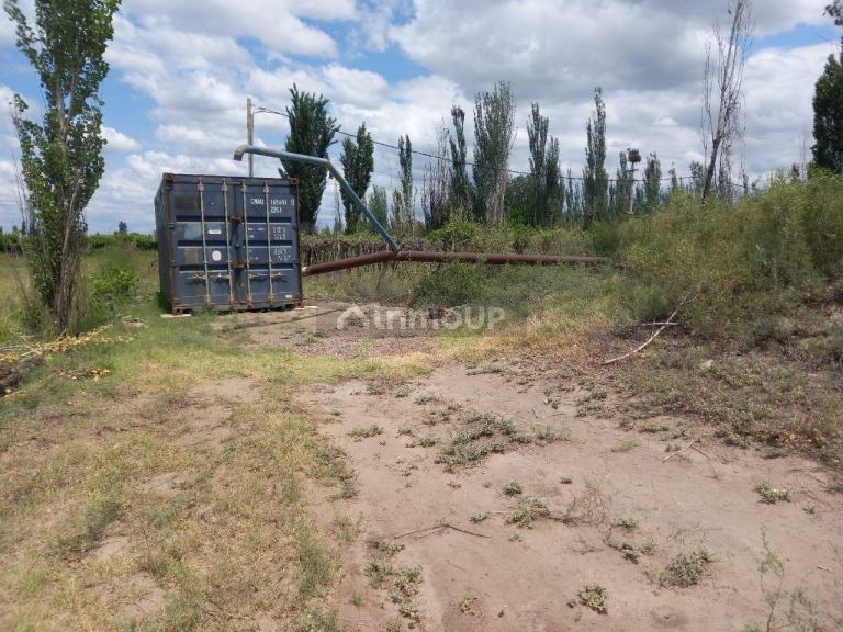 Finca en Venta en San Martin, Mendoza