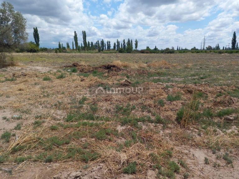 Finca en Venta en San Martin, Mendoza