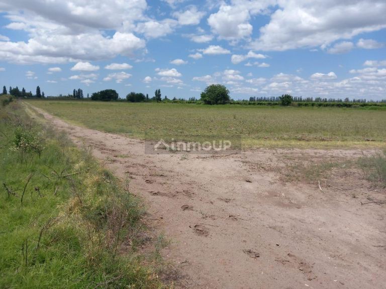 Finca en Venta en San Martin, Mendoza