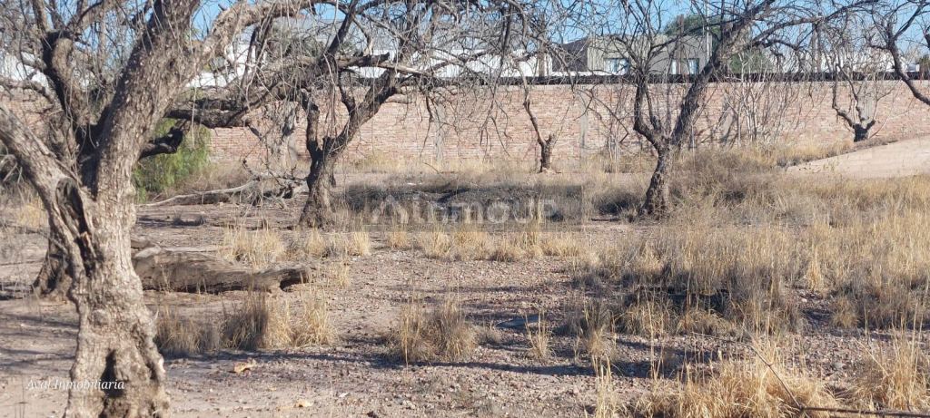 Terreno en Venta en Guaymallen, Mendoza