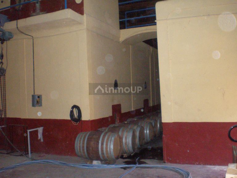 Bodega en Venta en Junin, Mendoza