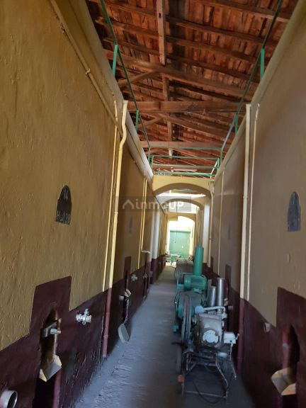 Bodega en Venta en Junin, Mendoza