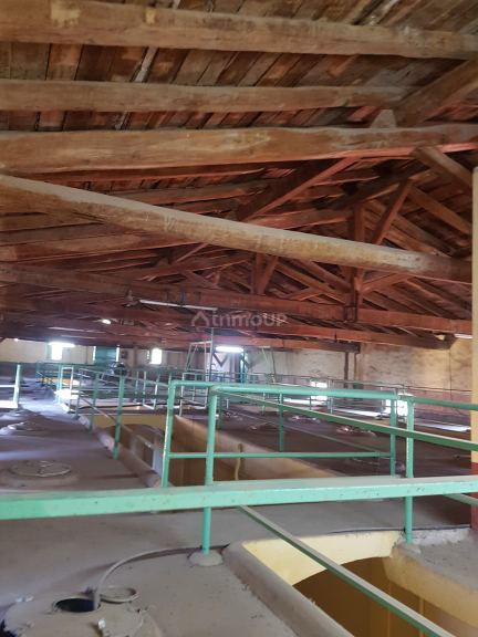 Bodega en Venta en Junin, Mendoza