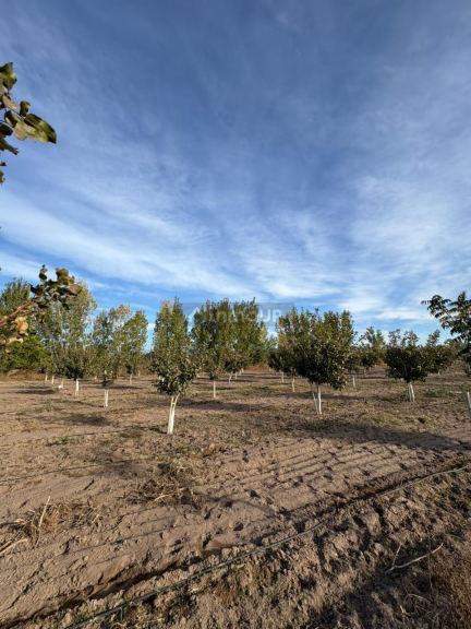 Lavalle RUTA NACIONAL 40