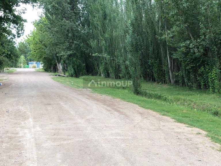 Lote en Venta en Tunuyan, Mendoza