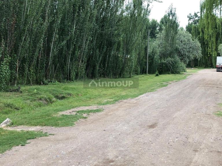 Lote en Venta en Tunuyan, Mendoza