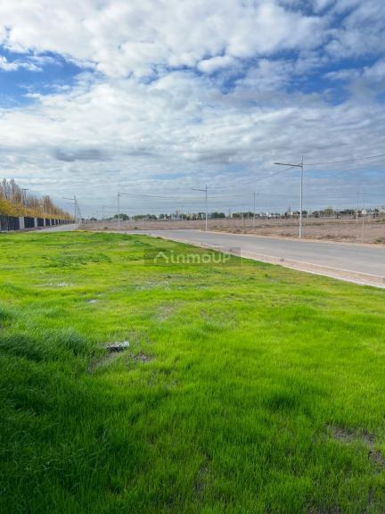 Lote en Venta en Lujan de Cuyo, Mendoza