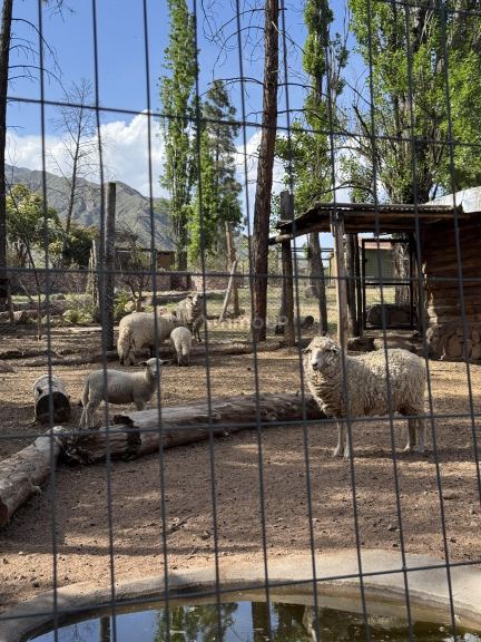 Casa en Venta en Lujan de Cuyo, Mendoza