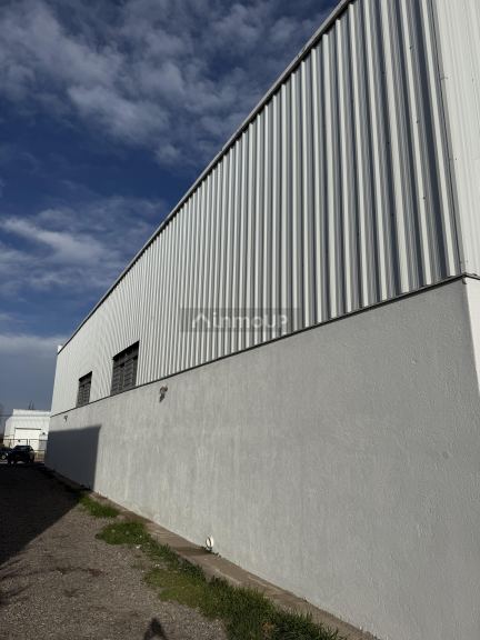 Galpon en Alquiler en Lujan de Cuyo, Mendoza