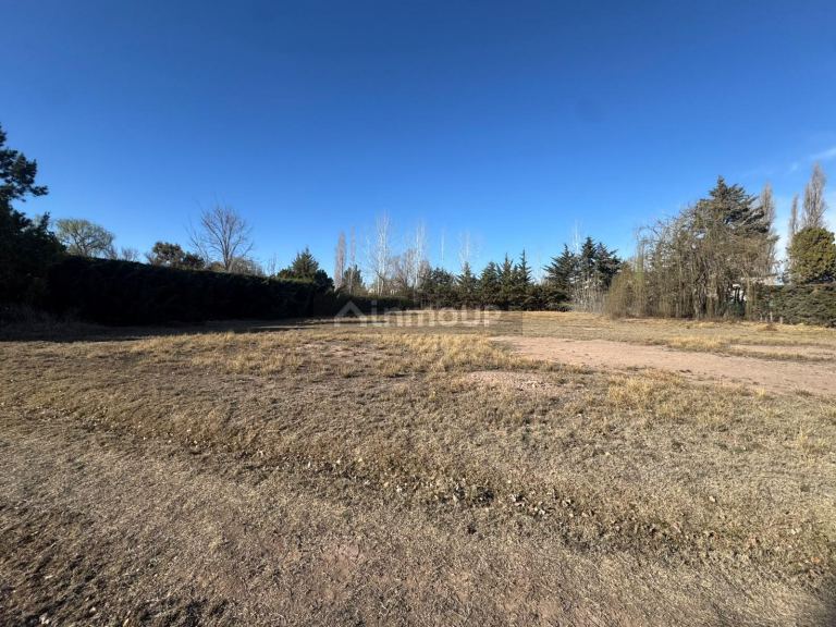 Lote en Venta en Lujan de Cuyo, Mendoza