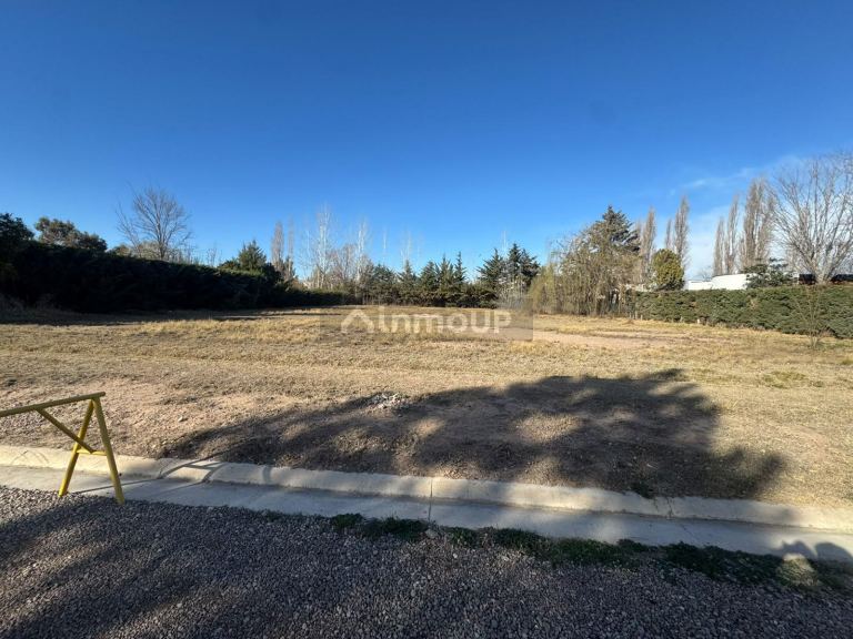 Lote en Venta en Lujan de Cuyo, Mendoza