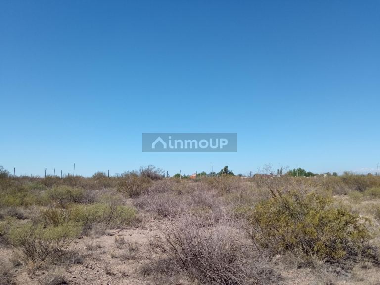 Lote en Venta en Lujan de Cuyo, Mendoza