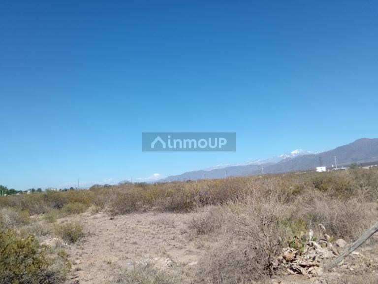 Lote en Venta en Lujan de Cuyo, Mendoza