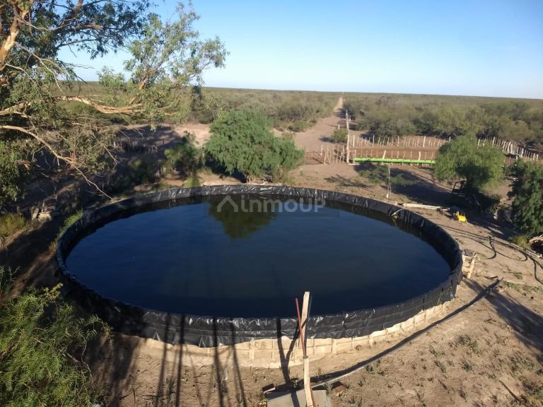 Campo en Venta en General alvear, Mendoza