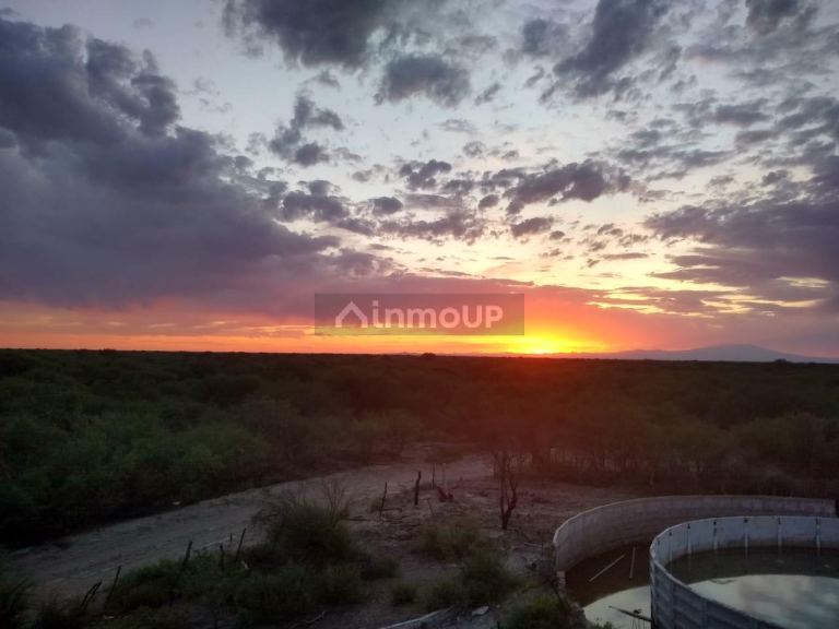 Campo en Venta en General alvear, Mendoza