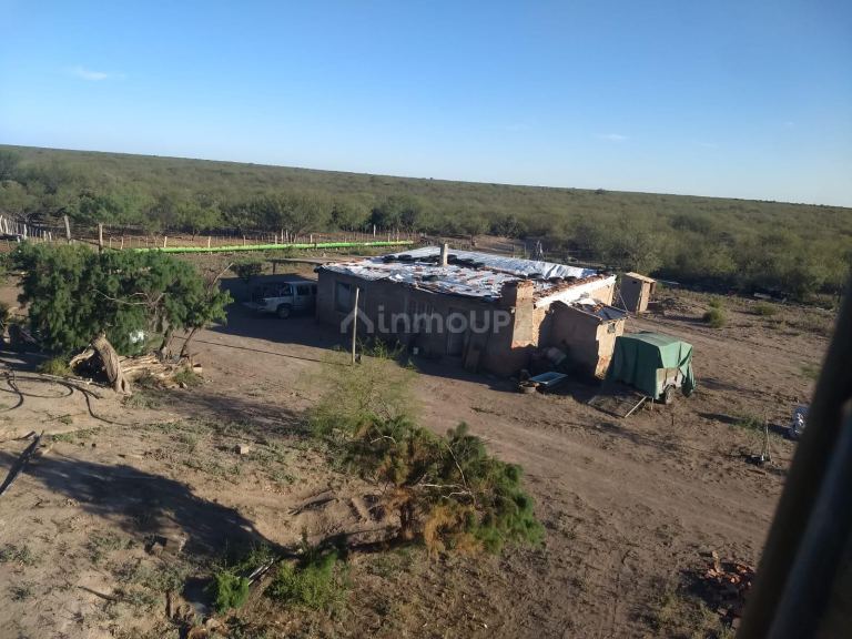 Campo en Venta en General alvear, Mendoza