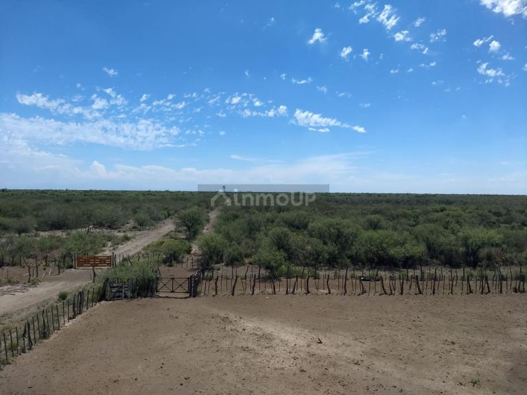 Campo en Venta en General alvear, Mendoza