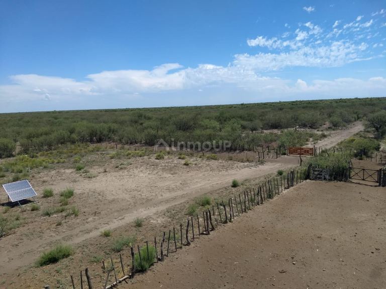 Campo en Venta en General alvear, Mendoza