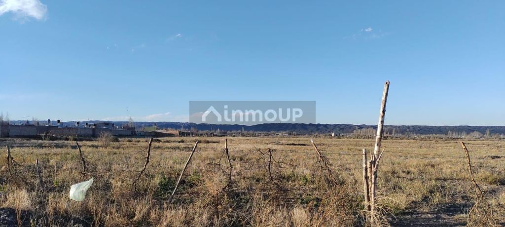 Loteo en Venta en Tupungato, Mendoza