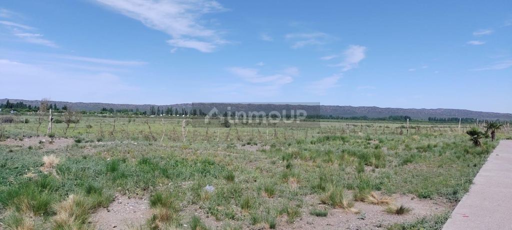 Loteo en Venta en Tupungato, Mendoza