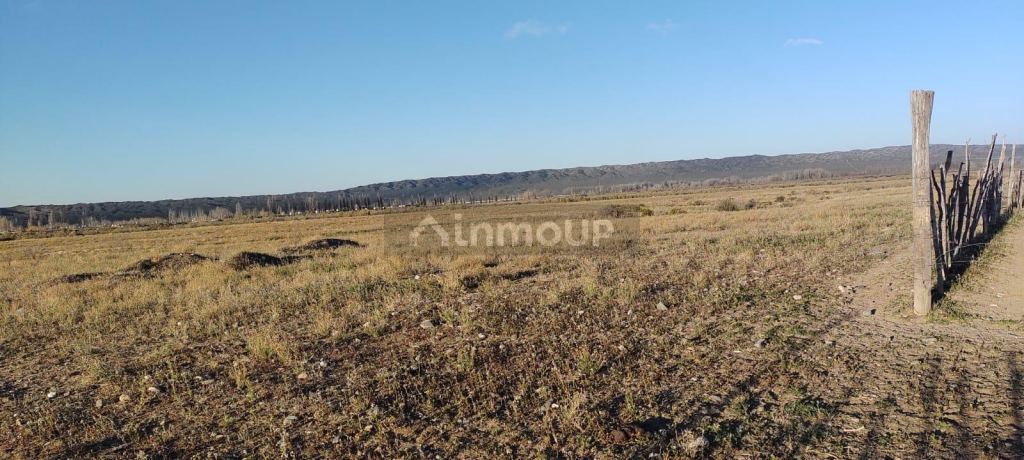 Loteo en Venta en Tupungato, Mendoza