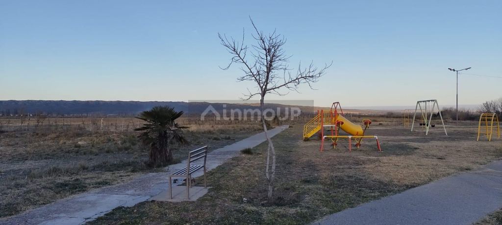 Loteo en Venta en Tupungato, Mendoza