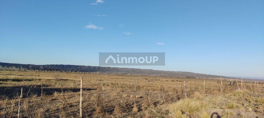 Loteo en Venta en Tupungato, Mendoza