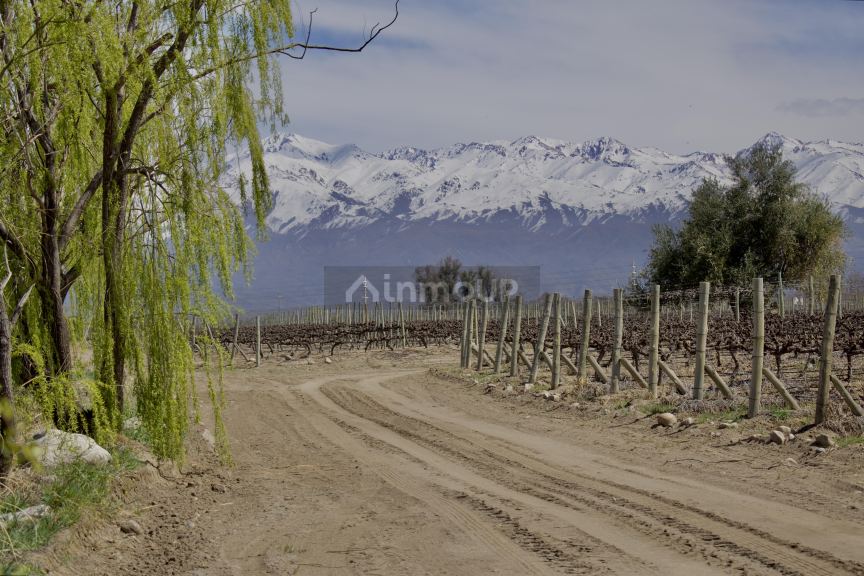 Finca en Venta en Tunuyan, Mendoza - USD 4.500.000 | Inmoup - 10