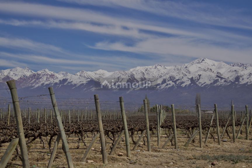 Finca en Venta en Tunuyan, Mendoza - USD 4.500.000 | Inmoup - 9