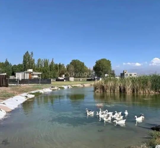 Terreno en Venta en Guaymallen, Mendoza