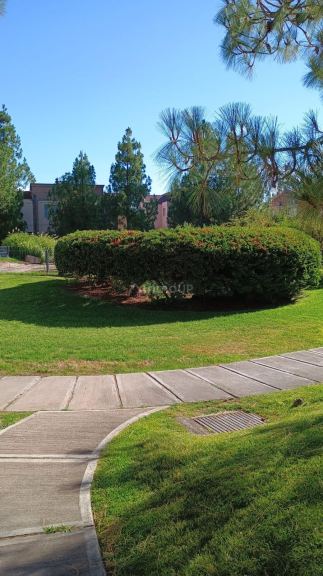 Duplex en Alquiler en Lujan de Cuyo, Mendoza