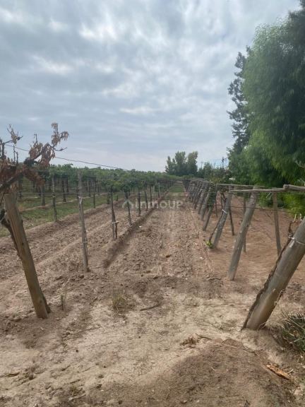 Finca en Venta en Las Heras, Mendoza