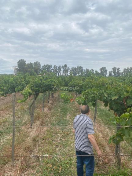 Finca en Venta en Las Heras, Mendoza