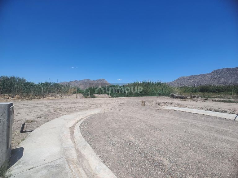 Terreno en Venta en Rivadavia, San Juan - USD 39.000 | Inmoup - 10