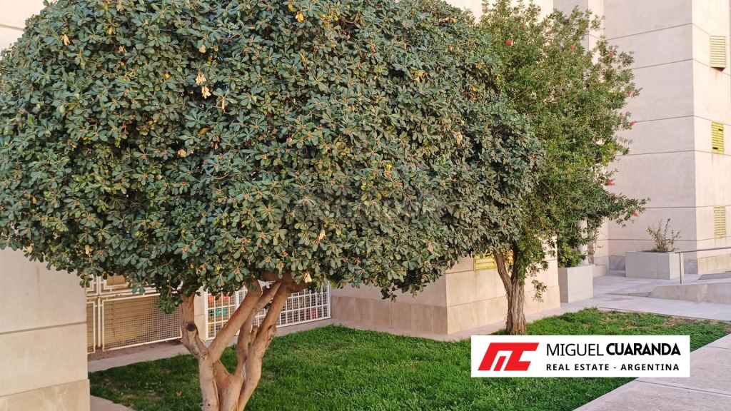 Departamento en Venta en Capital, Mendoza